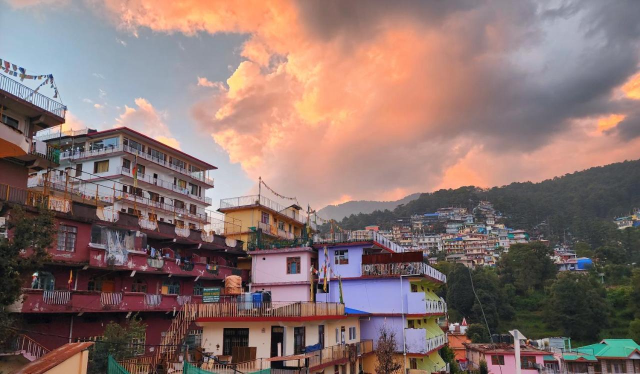 The Bougainvillea, Mcleodganj Dharamshala Buitenkant foto